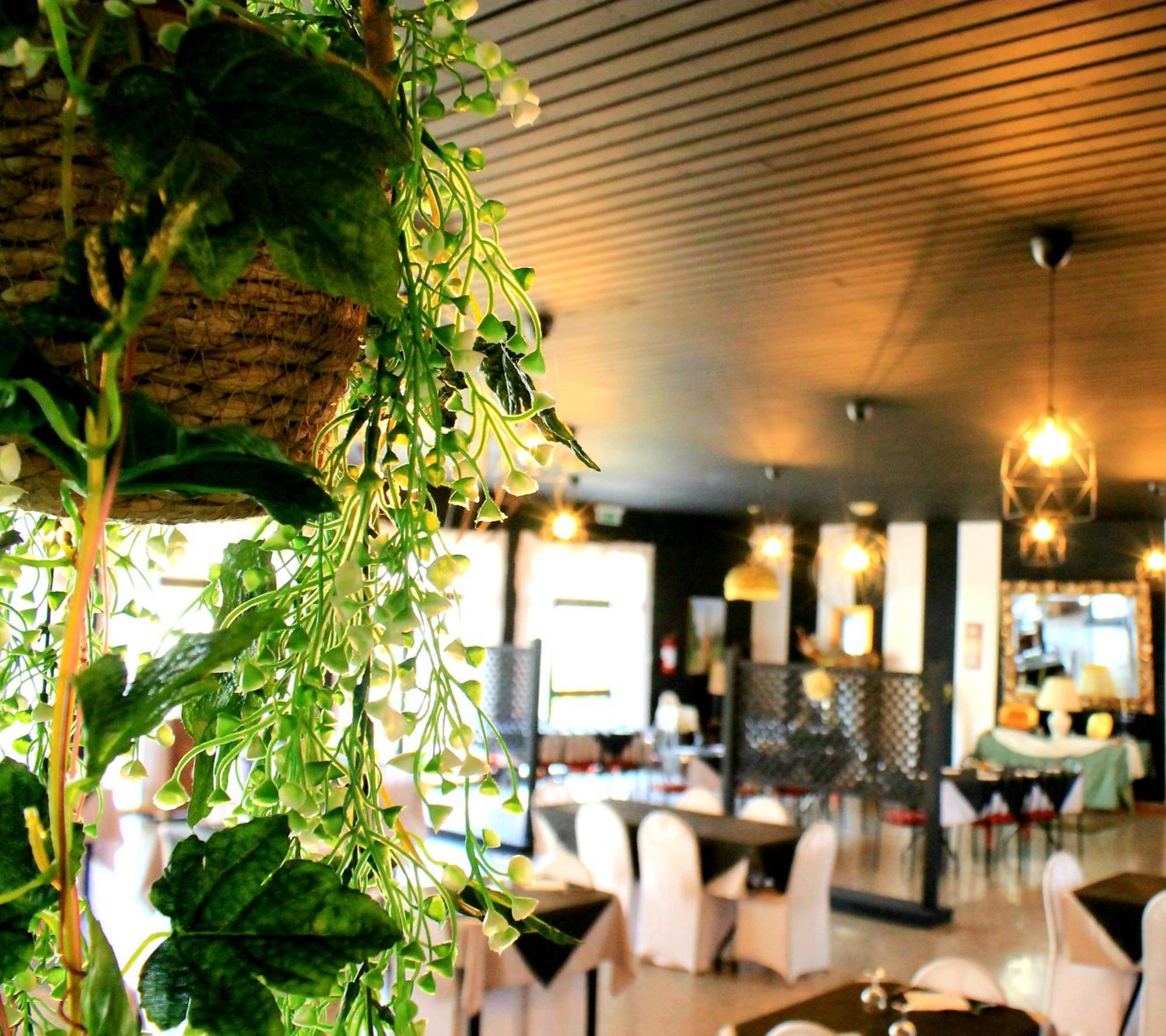Hotel Nuovo Sole HNS Bovolone Esterno foto